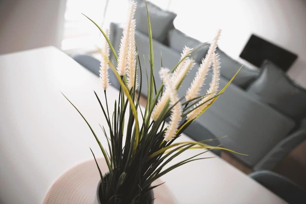 Beautiful Stylish 2Br Apartment In Kirchberg Luxemburg Exteriör bild
